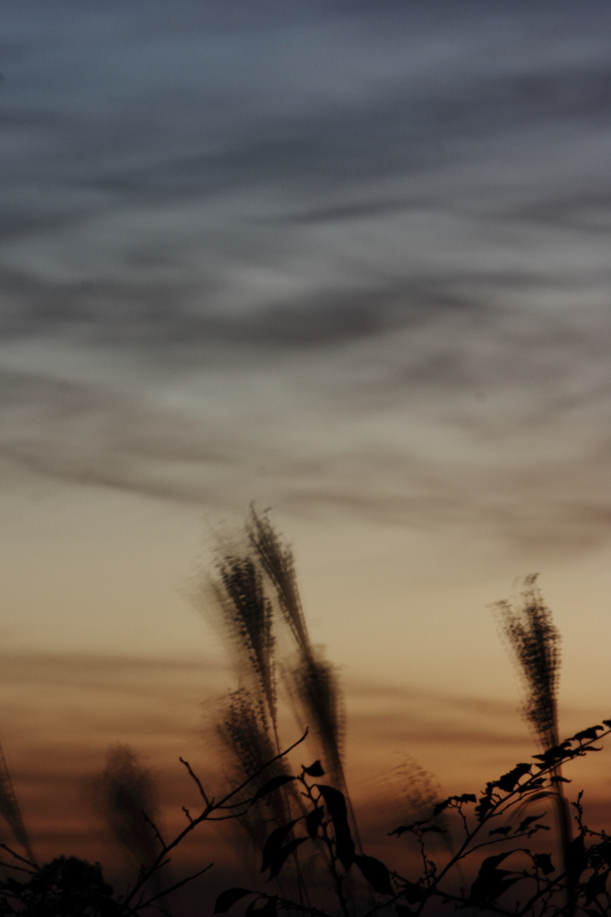 秋の夕空