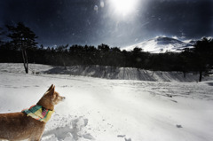 The portrait in snow #2