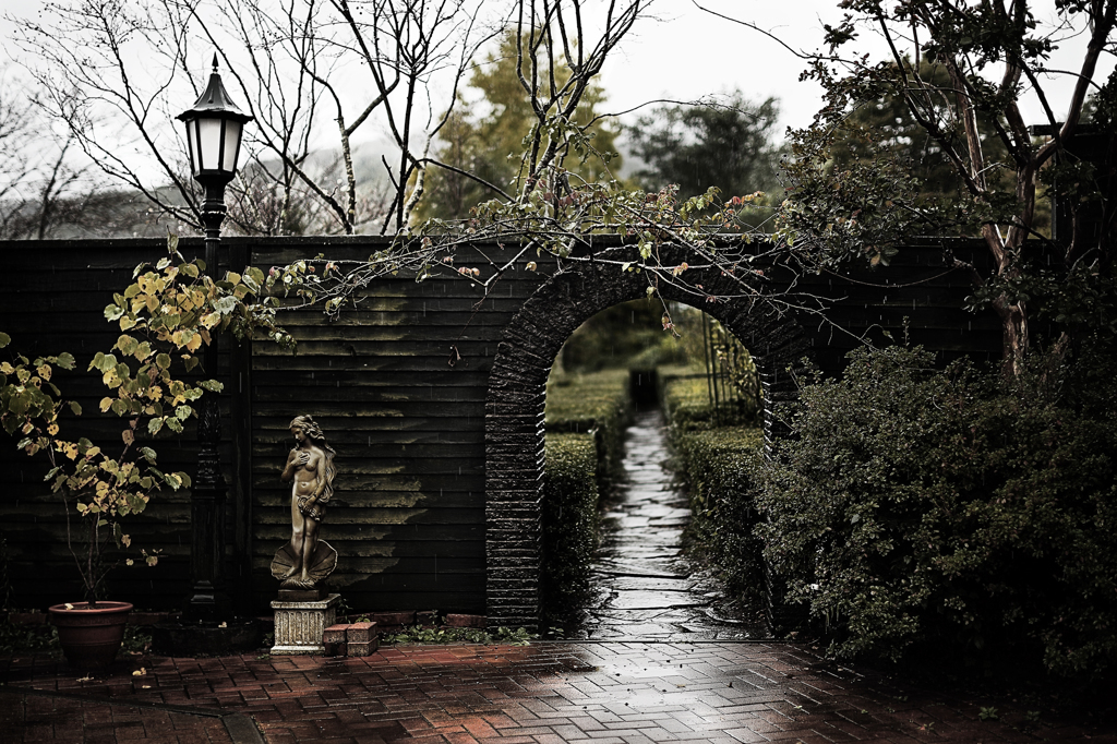rainy day