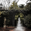 rainy day