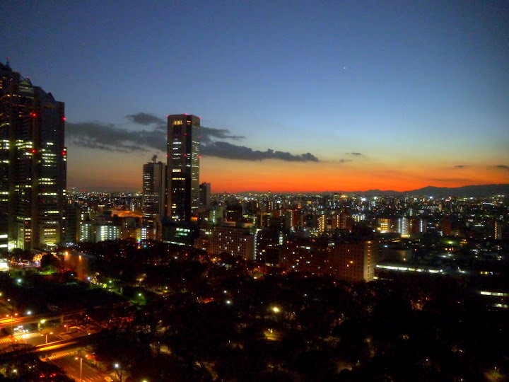 HYATT REGENCY TOKYO -2 