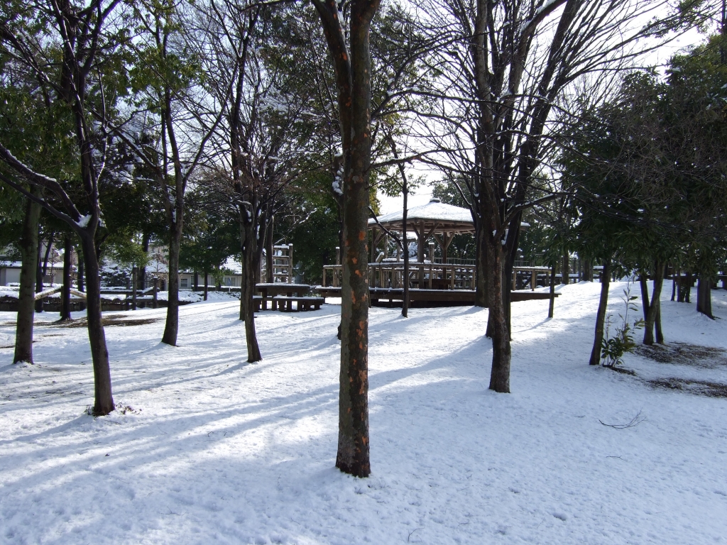 雪景色