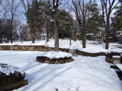 雪の公園