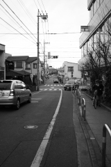 koganei