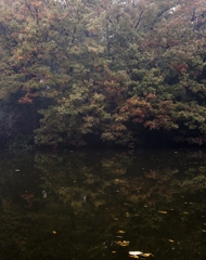 湖上紅葉