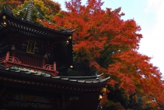 水沢神社