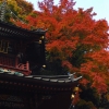 水沢神社