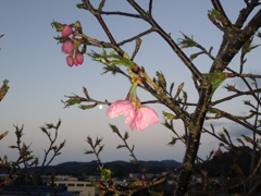 引佐総合公園にて