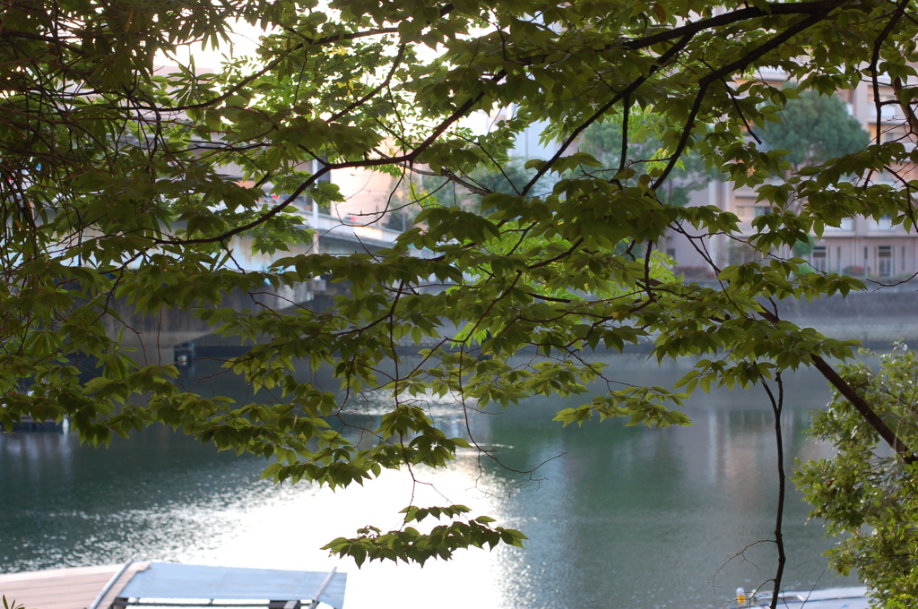 秋めいてきました