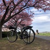 20200222自転車と桜