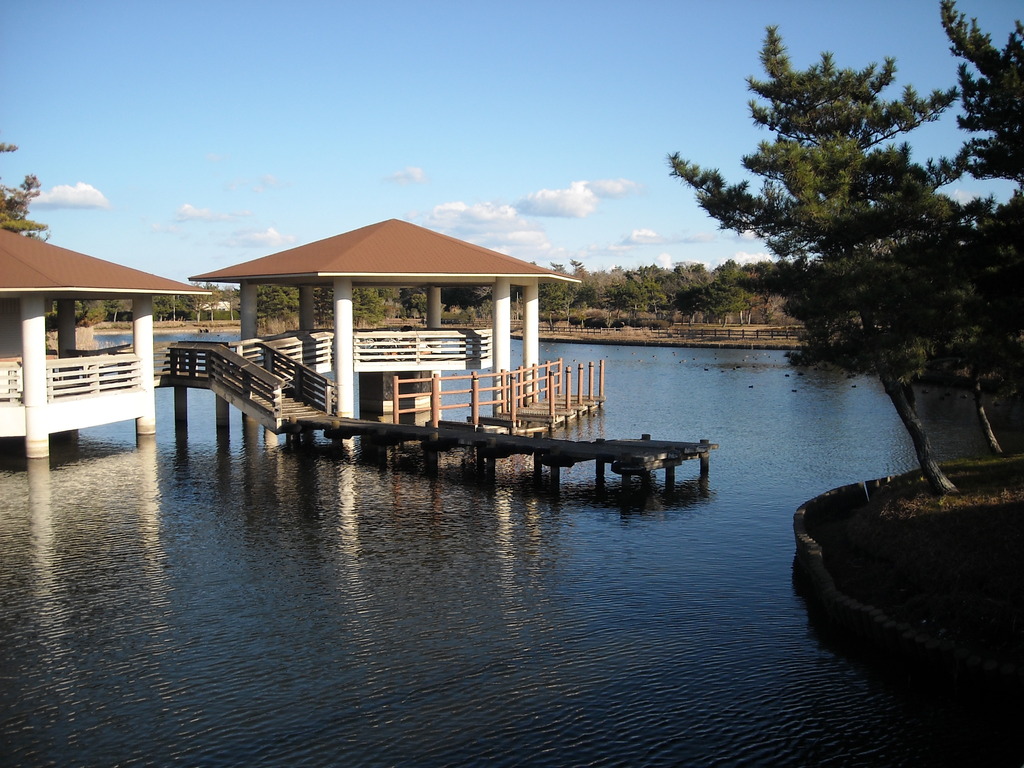 蓮沼公園にて