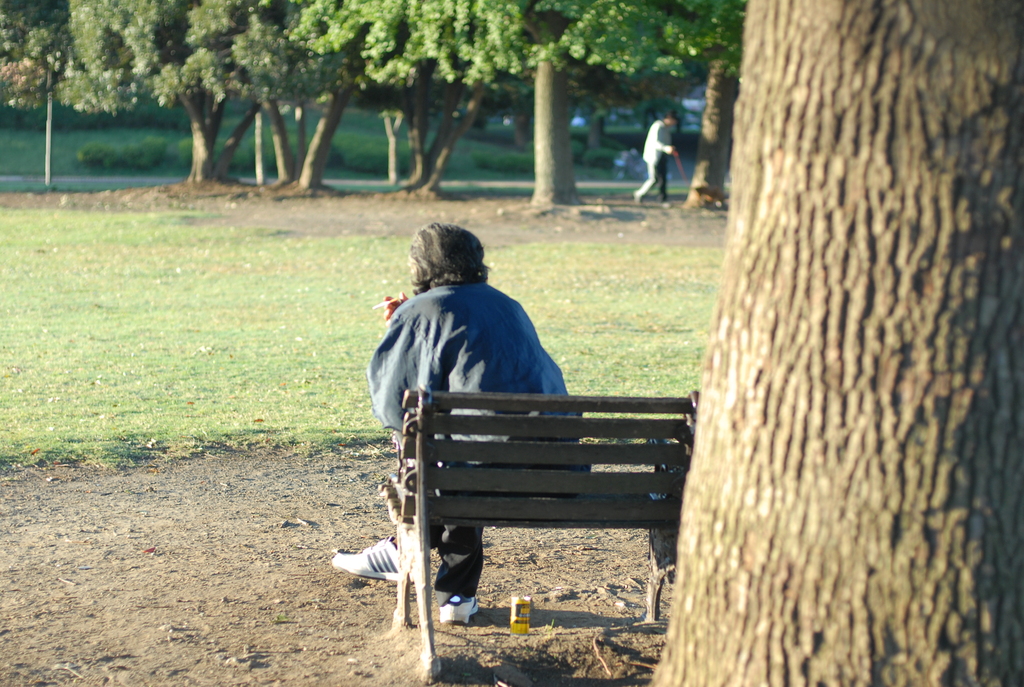 朝の大師公園