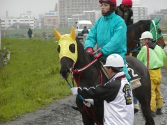 小雨が降る中