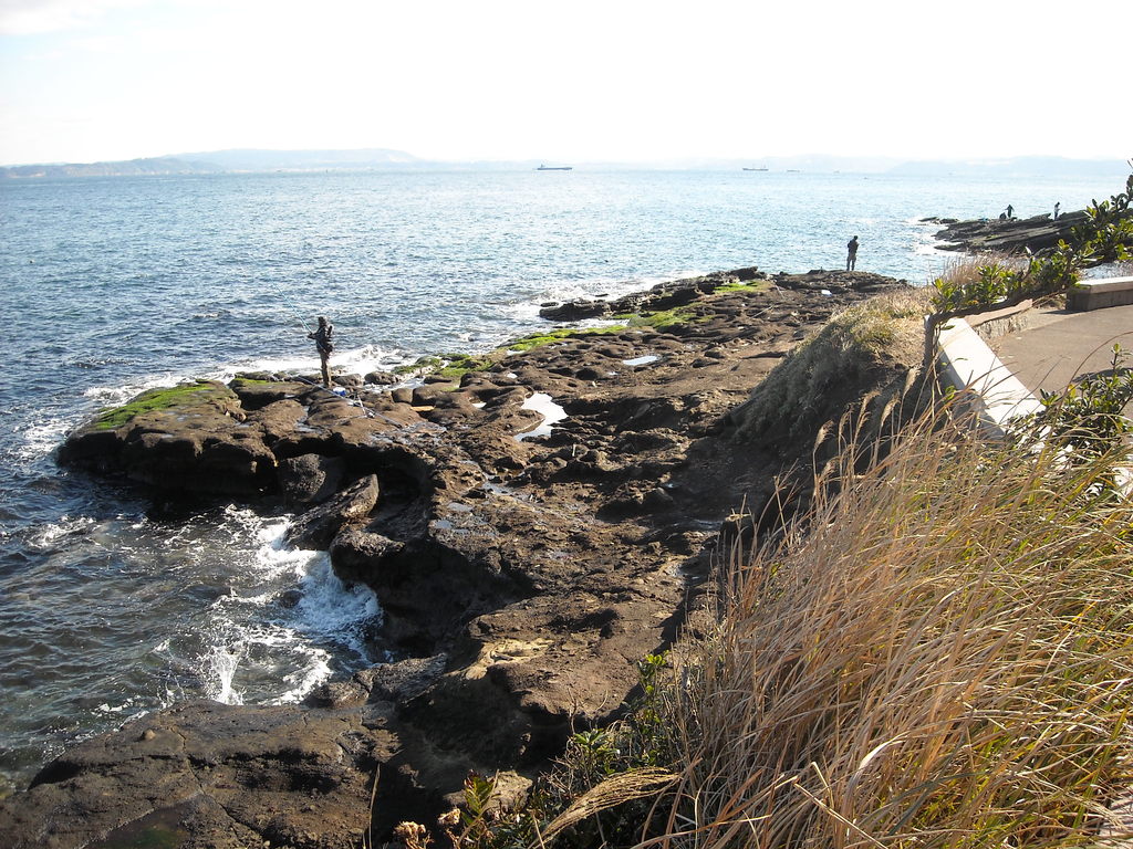 観音崎の海