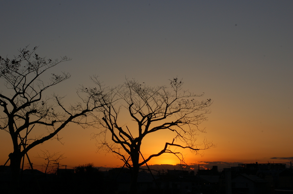 昨日とは違った夕暮れ