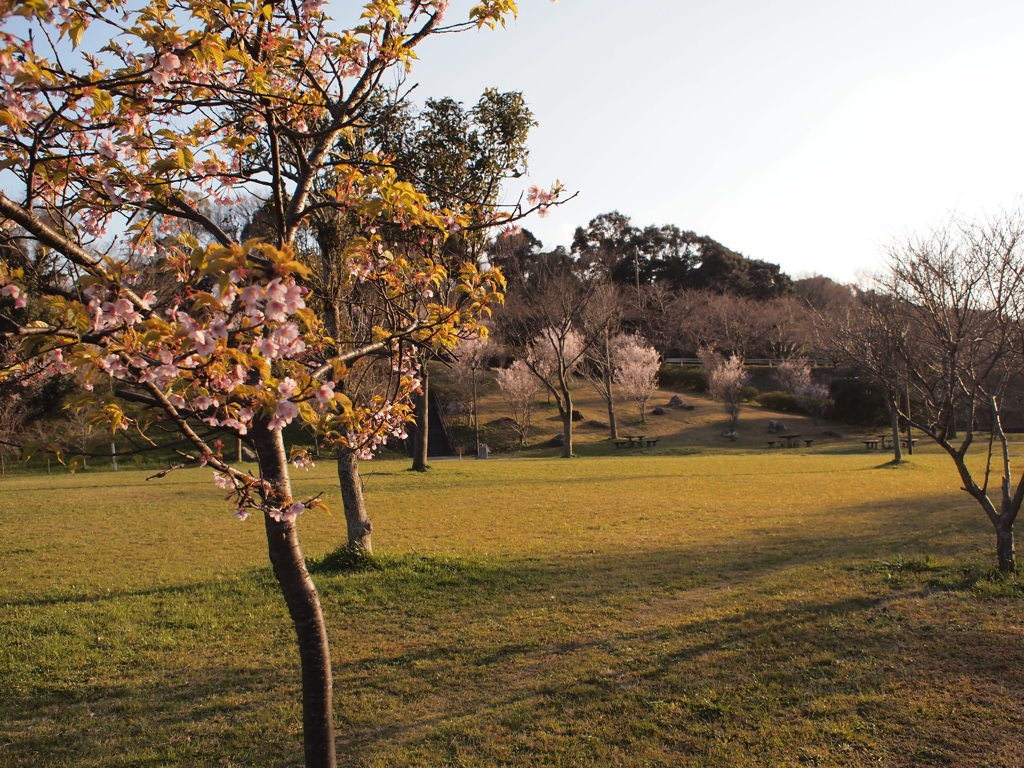 花川運動公園