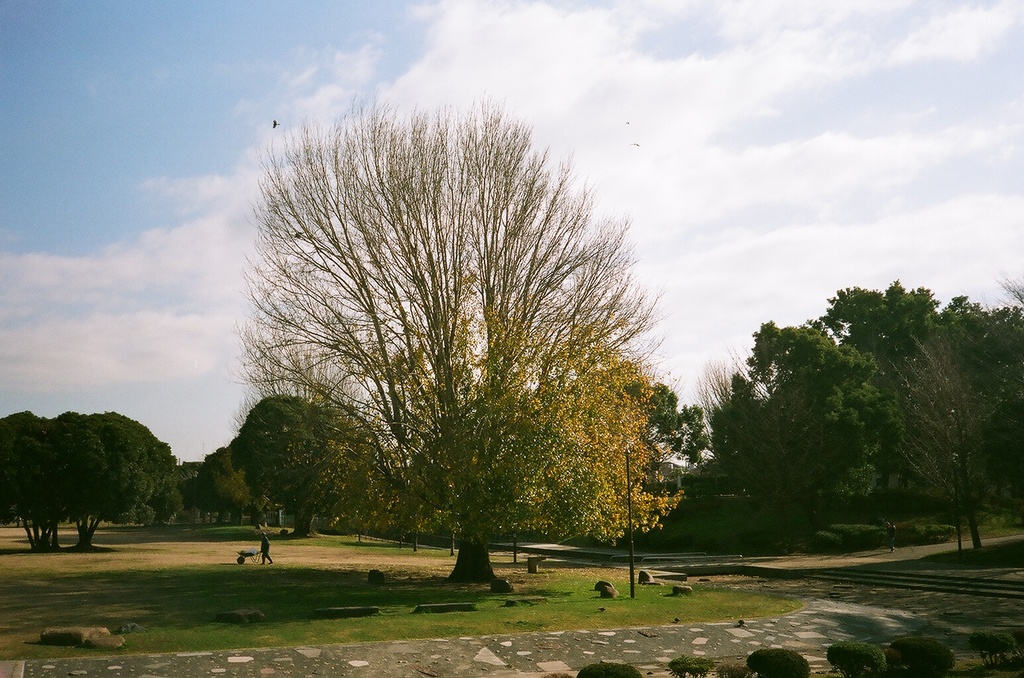 大師公園