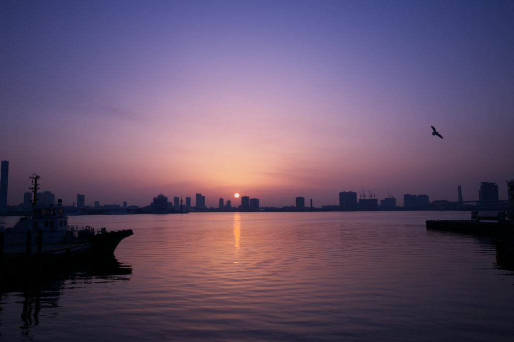 東京湾日の出