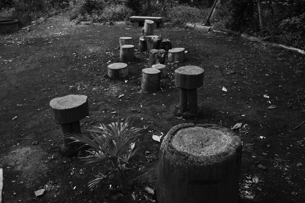 公園の住人