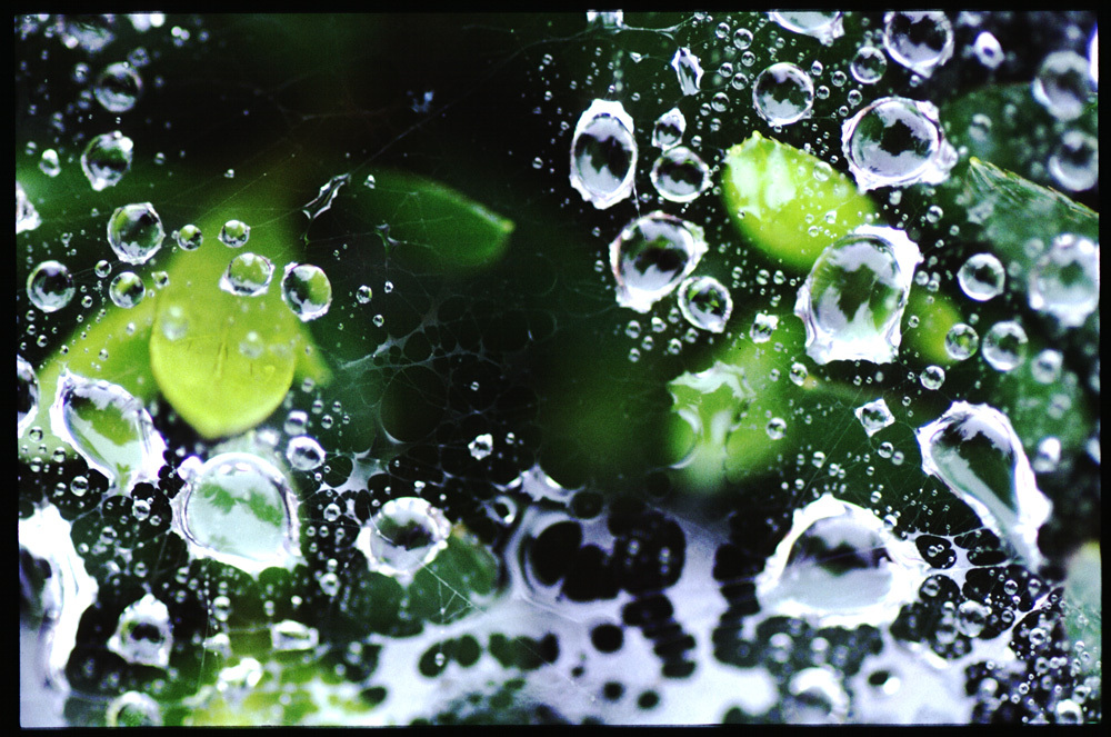 水玉の世界１９