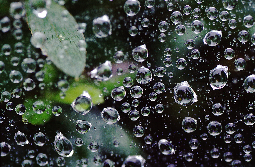 水玉の世界１
