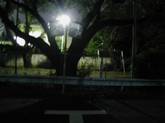 公園の夜