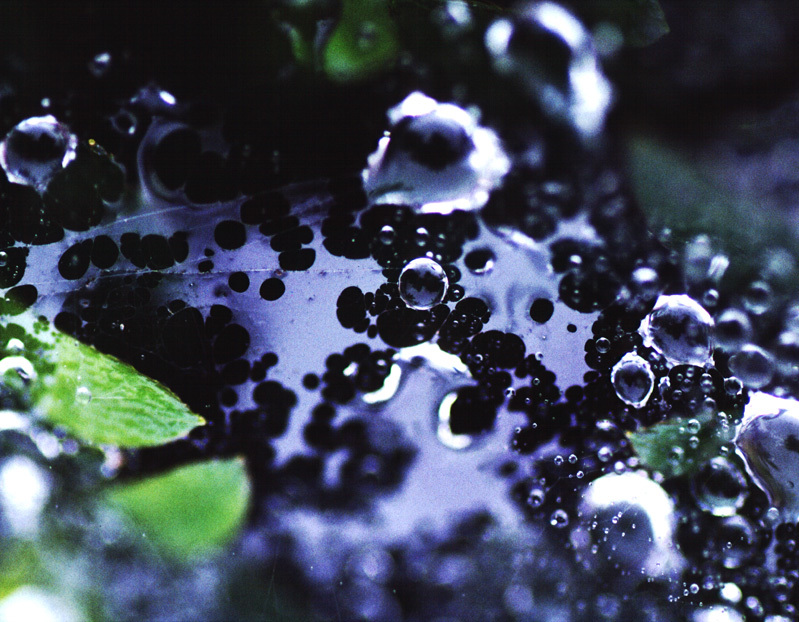 水玉の世界１８