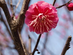大高緑地公園にて