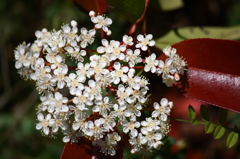 名古屋市農業センターにて　