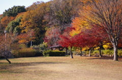大高緑地公園にて