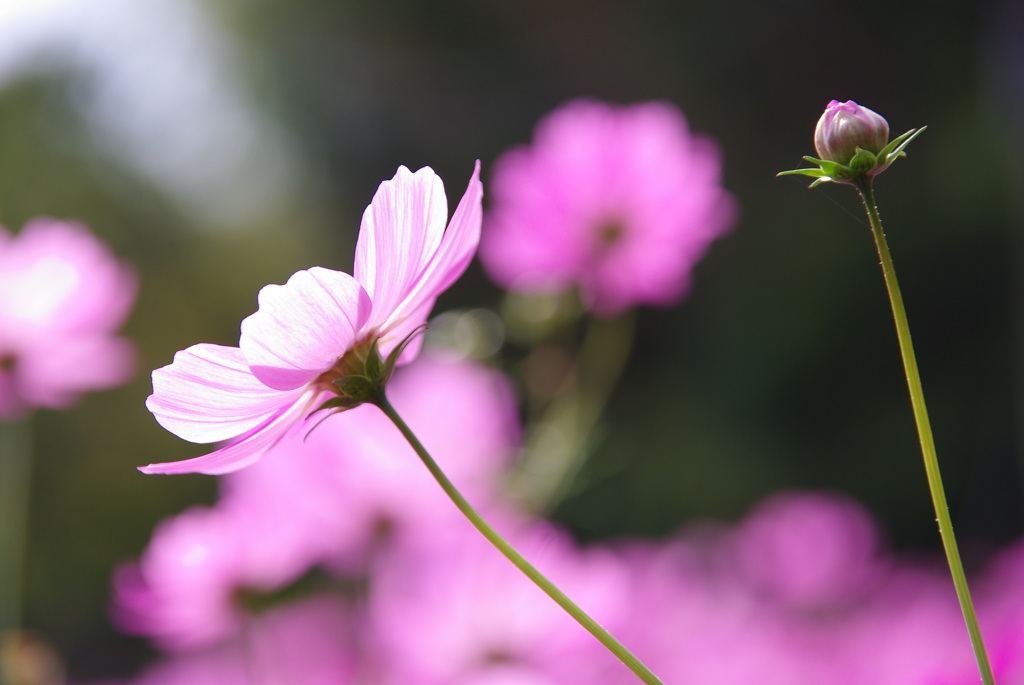 みどりが丘公園にて　