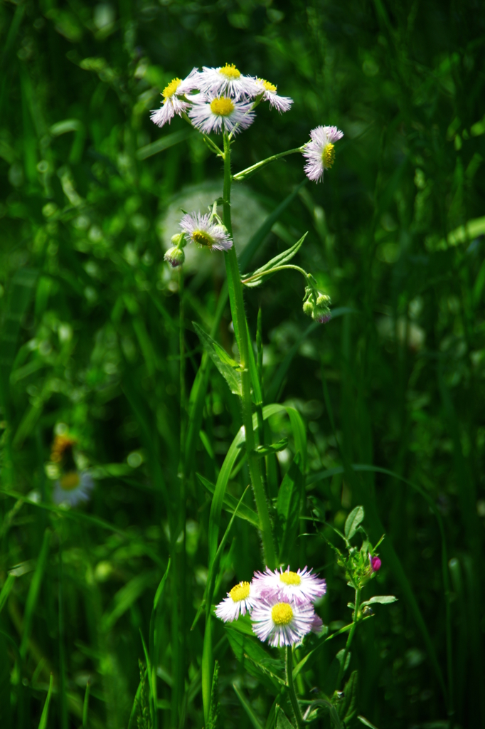 大高緑地公園にて　