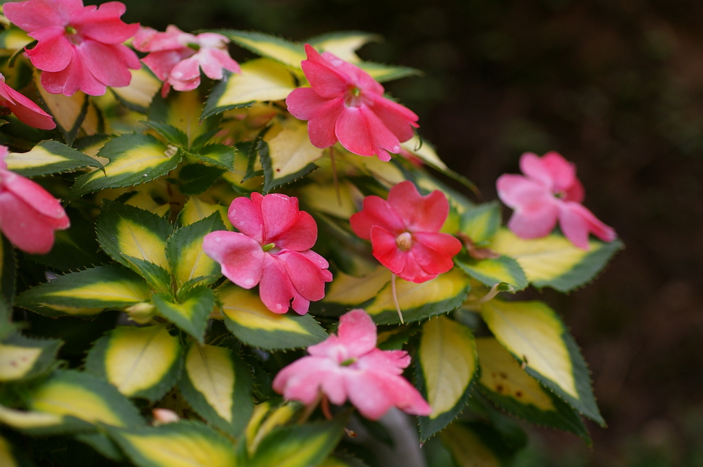 名古屋市農業センターにて