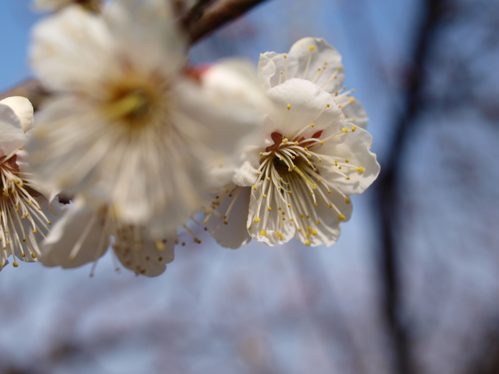 大高緑地公園にて