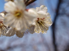 大高緑地公園にて