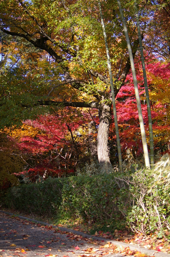 名古屋市農業センターにて