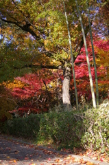 名古屋市農業センターにて