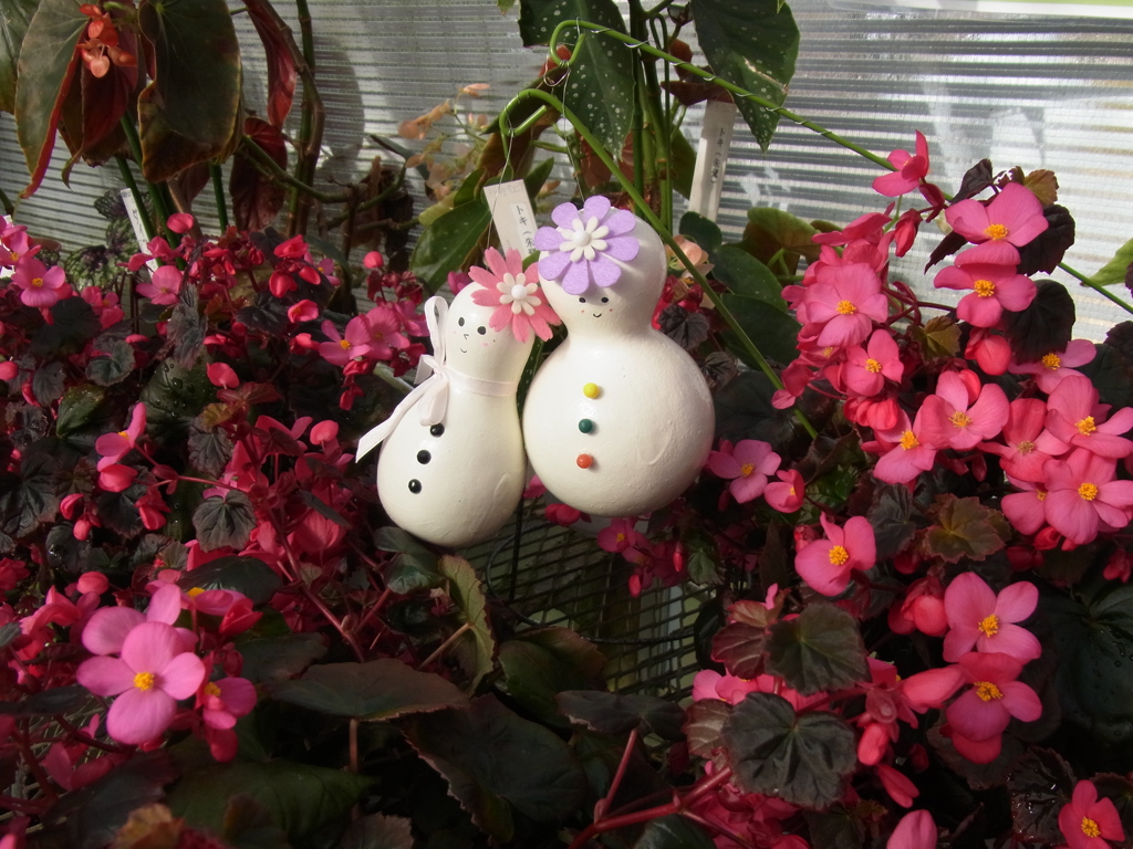 お花に囲まれて…