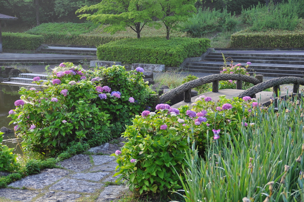 大高緑地公園にて　