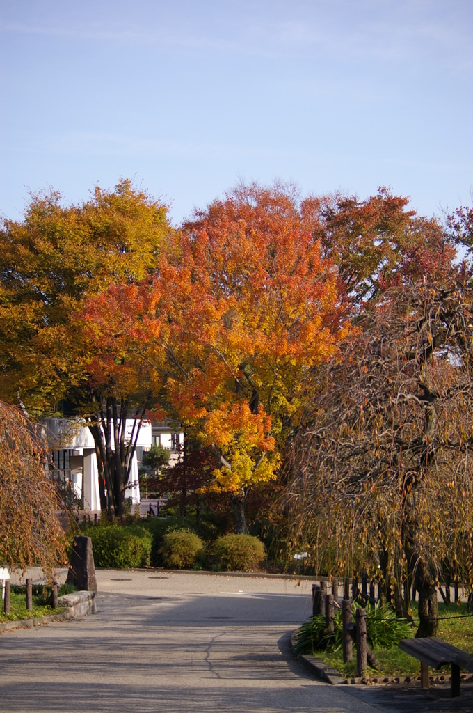 名古屋市農業センターにて