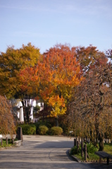 名古屋市農業センターにて