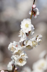 大高緑地公園にて　