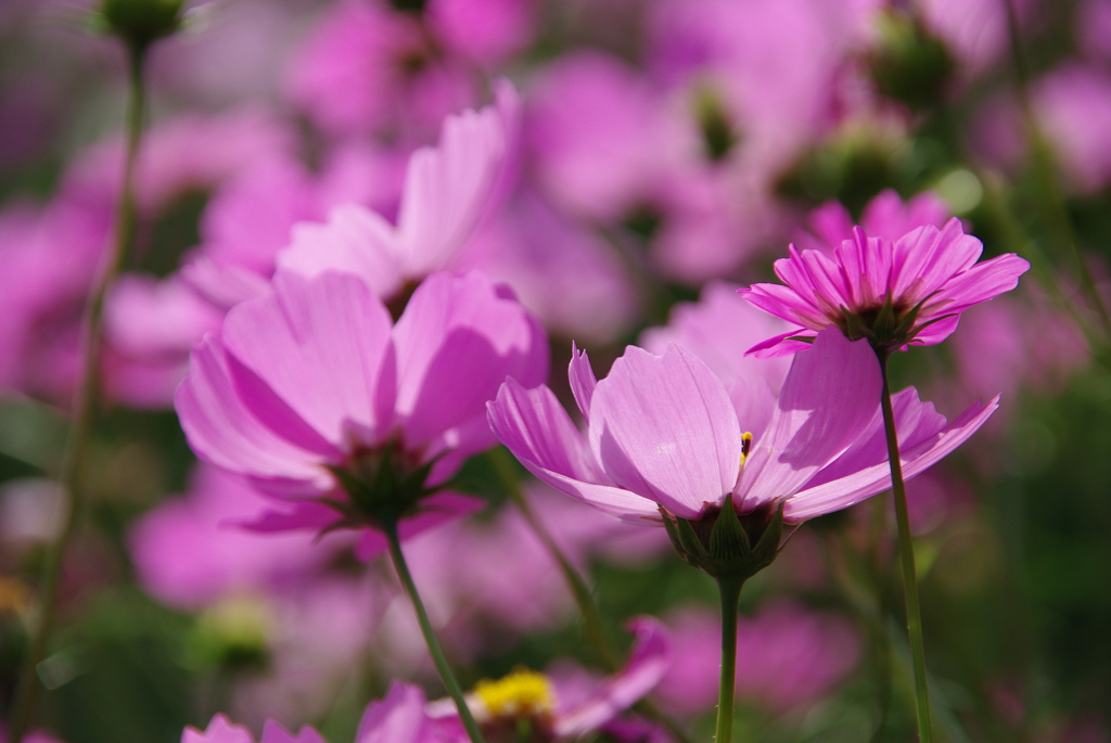 みどりが丘公園にて　
