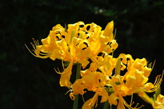 名古屋市農業センターにて　