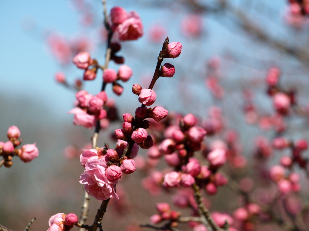 大高緑地公園にて　