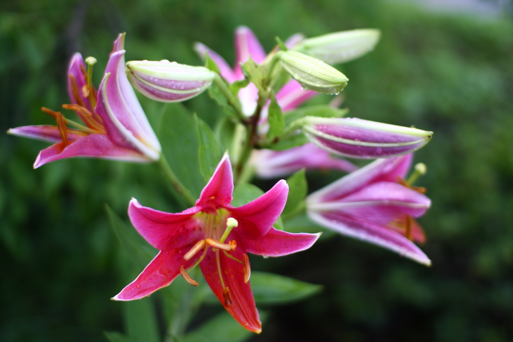 名古屋市農業センターにて　
