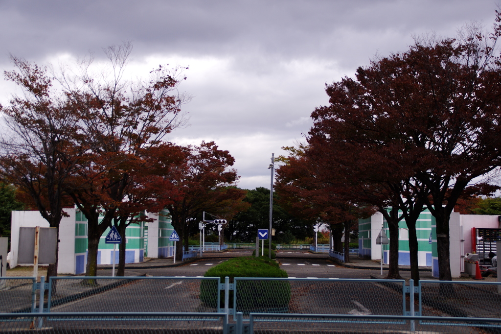 大高緑地公園にて