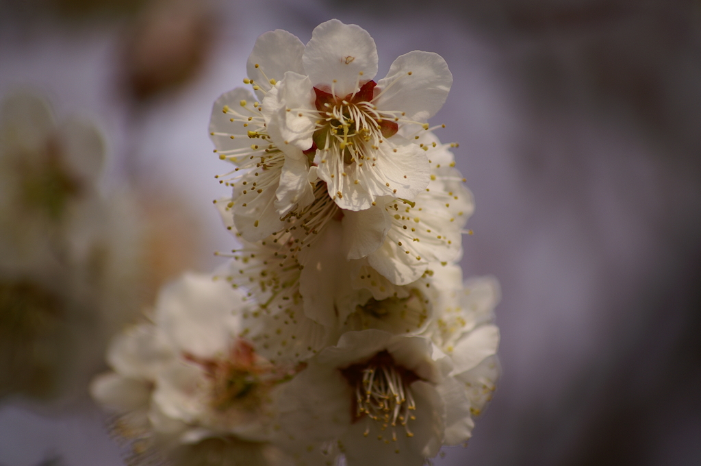 大高緑地公園にて