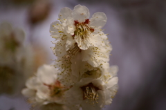 大高緑地公園にて