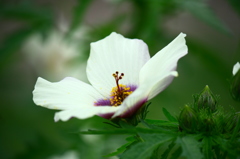 名古屋市農業センターにて　